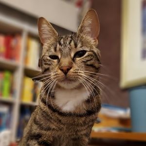 Meet your Posher, Hannah